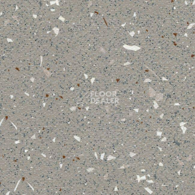 Линолеум Grabo EcoSafe 2954_659_20_279 фото 1 | FLOORDEALER