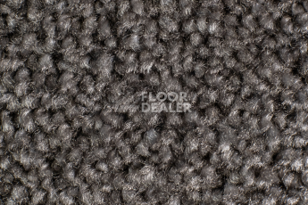 AW Masquerade Messalina / Мессалина 99 фото 3 | FLOORDEALER
