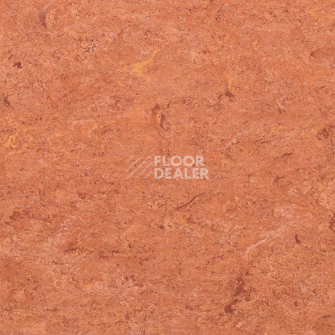 Линолеум Gerflor Marmorette DLW  2mm 0019 Sunset Orange фото 1 | FLOORDEALER
