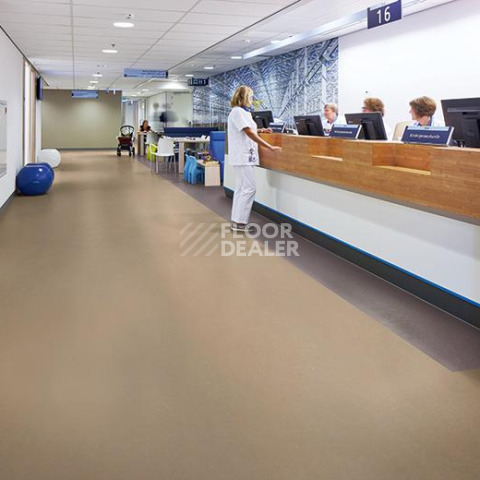 Forbo Marmoleum Solid Concrete 3727-372735 drift фото 3 | FLOORDEALER