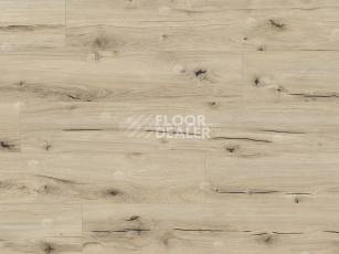 Classen Arteo 8 M 62748 Дуб Дамара фото 5 | FLOORDEALER