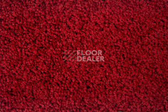 Haima Stepway n 5023 фото 2 | FLOORDEALER