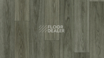 Линолеум Tarkett Force Norman 2 фото 1 | FLOORDEALER