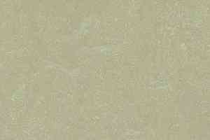 Линолеум Forbo Marmoleum Неожиданная природа 3567 фото  | FLOORDEALER