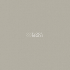 Линолеум Apoluza SportFloor PVC Dance 2.0 02 фото 1 | FLOORDEALER