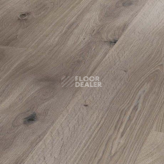 Ламинат Parador Basic Plus 400 1744347 Дуб Базальтовый Серый фото 1 | FLOORDEALER