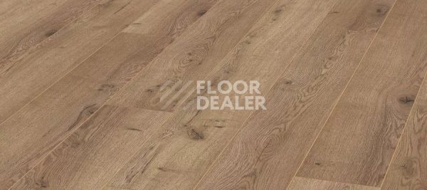 Ламинат Kronotex Aqua Amazone 10мм D3668 Дуб Неброский фото 1 | FLOORDEALER