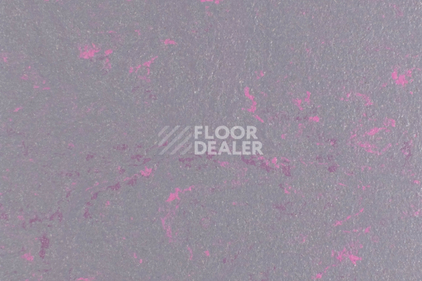 Линолеум Forbo Marmoleum Solid Concrete 3735-373535 purple shimmer фото 1 | FLOORDEALER