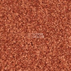 Ковролин Balsan Bolero roll 480 фото 1 | FLOORDEALER