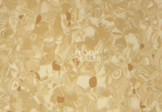 Tarkett Primo Plus 304 фото 2 | FLOORDEALER