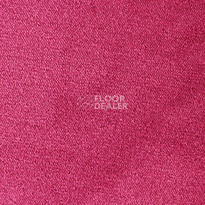 Ковролин Edel Twister 125 фото 1 | FLOORDEALER