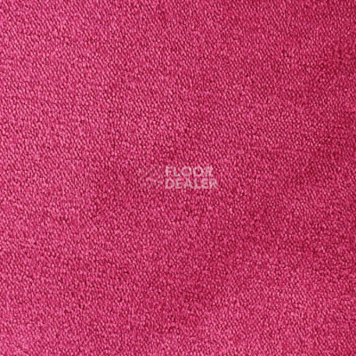 Ковролин Edel Twister 125 фото 1 | FLOORDEALER