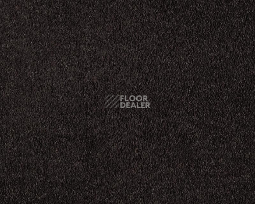 Ковролин Lano Boheme 800 Ebony фото 1 | FLOORDEALER