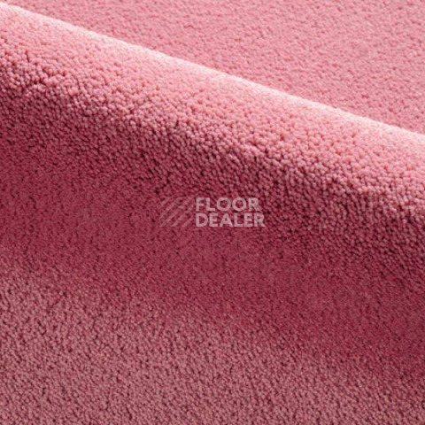 Ковролин Radici Dolce Vita 9803 фото 1 | FLOORDEALER