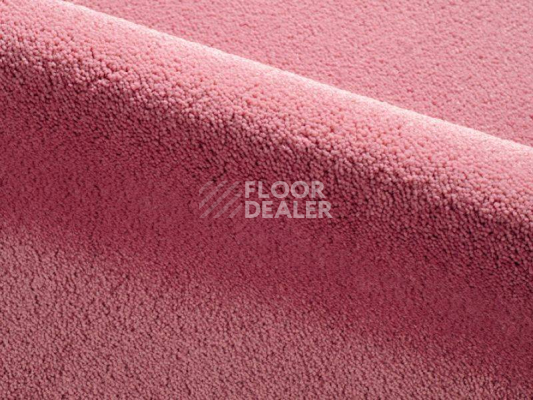 Ковролин Radici Dolce Vita 9803 фото 1 | FLOORDEALER