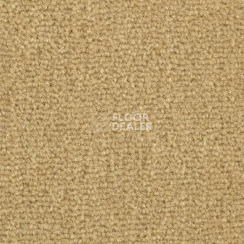 Ковролин Balsan Majestic 628 фото 1 | FLOORDEALER