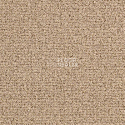 Ковролин Balsan Residentiel 605 фото 1 | FLOORDEALER