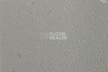 Forbo SureStep Star 176482 greige фото 3 | FLOORDEALER