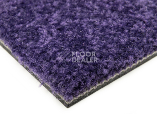 Balsan Bolero 895 фото 4 | FLOORDEALER
