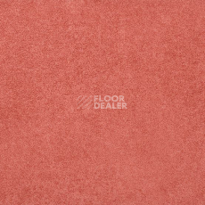 Линолеум Gerflor Taralay Initial Compact (Plain & allover look) 0951 Miami Litchee фото 1 | FLOORDEALER