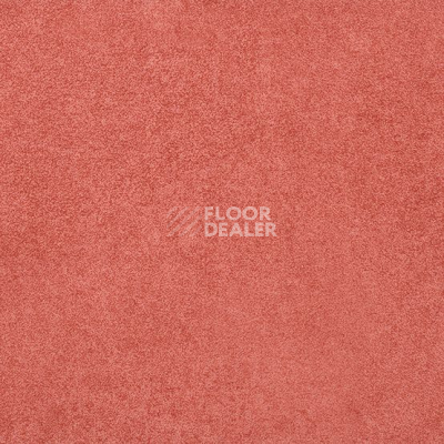 Линолеум Gerflor Taralay Initial Compact (Plain & allover look) 0951 Miami Litchee фото 1 | FLOORDEALER