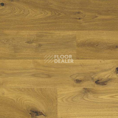 Wood Xl Oak  Knotty фото 4 | FLOORDEALER