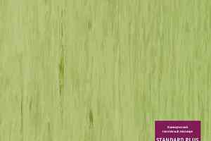 Линолеум Tarkett Standart Plus 922 фото  | FLOORDEALER