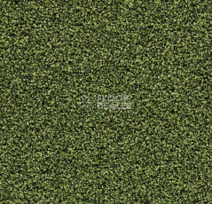 Грязезащитные покрытия Forbo Coral Bright 2608 Fresh Grass фото 1 | FLOORDEALER