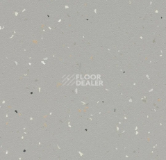 Линолеум Forbo SureStep Star 176482 greige фото 1 | FLOORDEALER