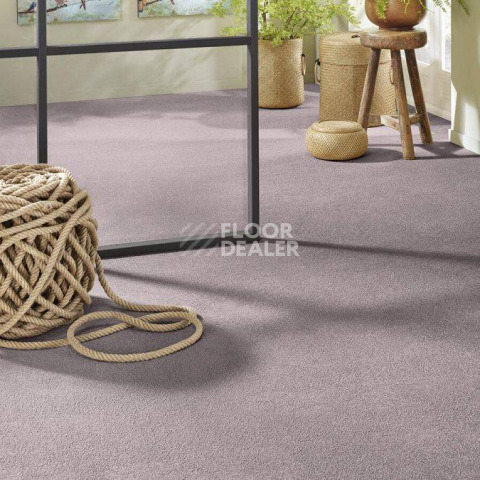 Vorwerk Superior 1065/Viola Vorwerk 3q68 фото 2 | FLOORDEALER