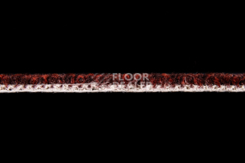Big  Studio 443 фото 3 | FLOORDEALER