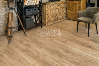 Alpine Floor Grand Sequoia (1220x183) ГРАНД СЕКВОЙЯ КАМФОРА ECO 11-5 фото 3 | FLOORDEALER