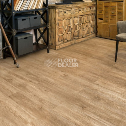Alpine Floor Grand Sequoia (1220x183) ГРАНД СЕКВОЙЯ КАМФОРА ECO 11-5 фото 3 | FLOORDEALER