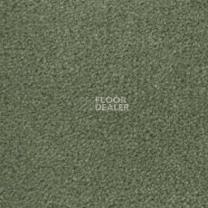 Ковролин Radici Montecarlo 74 фото 1 | FLOORDEALER