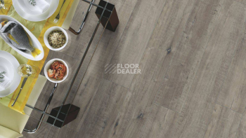 Kronotex Exquisit 8мм d4786 Дуб Гала Серый фото 4 | FLOORDEALER