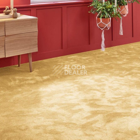 Vorwerk Superior 1067 Mira Vorwerk 2f39 фото 2 | FLOORDEALER