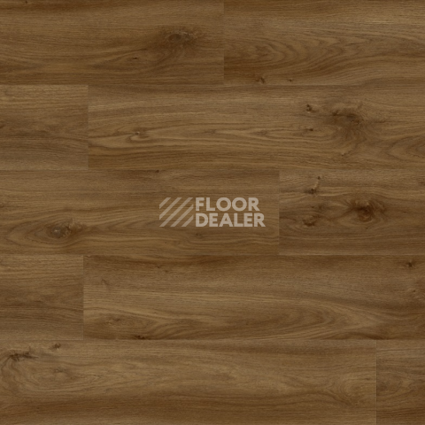 Moduleo Roots 0.55 EIR дерево SIERRA OAK 58876Q фото 2 | FLOORDEALER