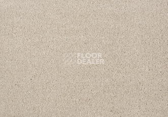 Ковролин Lano Dream 250 Cream Silk фото 1 | FLOORDEALER