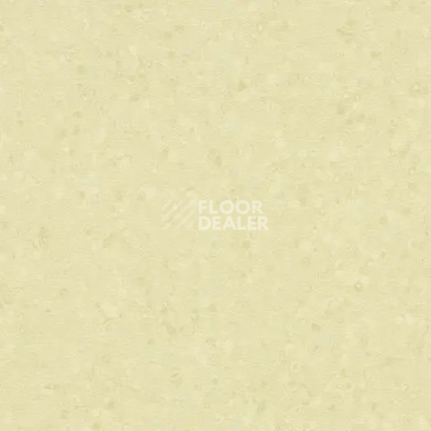 Линолеум Forbo Sphera Element 50063 white moss фото 1 | FLOORDEALER