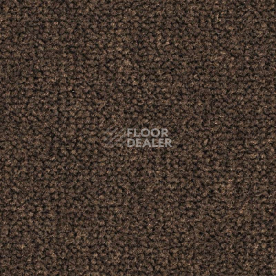 Ковролин Balsan Les Best S 695 фото 1 | FLOORDEALER