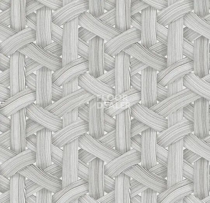 Ковролин Forbo Flotex by Mac Stopa 360019 f Graphic Wood фото 1 | FLOORDEALER