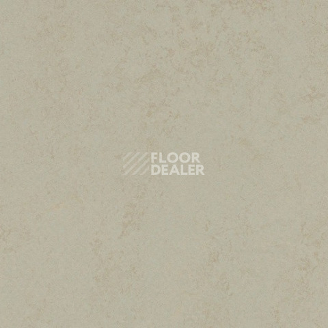 Линолеум Forbo Marmoleum Solid Concrete 3760/376035 dust фото 1 | FLOORDEALER