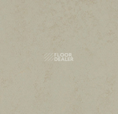 Линолеум Forbo Marmoleum Solid Concrete 3760/376035 dust фото 1 | FLOORDEALER
