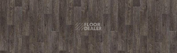 Линолеум Tarkett Delta OSTIN5 фото 1 | FLOORDEALER