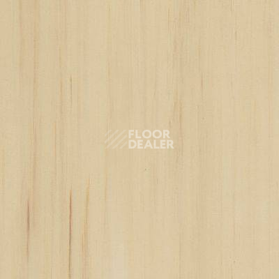 Линолеум Lino Fatra DUAL 855 фото 1 | FLOORDEALER