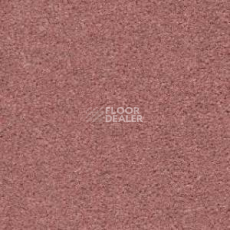 Ковролин Radici Montecarlo 89 фото 1 | FLOORDEALER