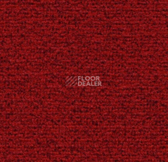 Грязезащитные покрытия Forbo Coral Classic 4763 Ruby Red фото 1 | FLOORDEALER
