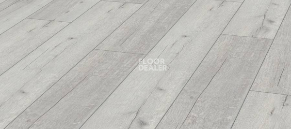 Ламинат Kronotex Robusto 12мм d3181 Дуб Рип Белый фото 1 | FLOORDEALER