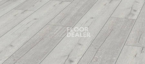 Ламинат Kronotex Robusto 12мм d3181 Дуб Рип Белый фото 1 | FLOORDEALER