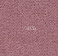 Ковролин Forbo Flotex wonderlab 07 900266 Rose фото 1 | FLOORDEALER
